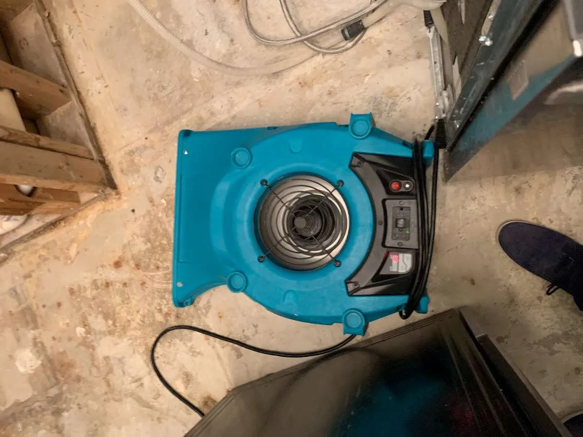 Air mover drying equipment for Mold Remediation & Removal in Dawsonville