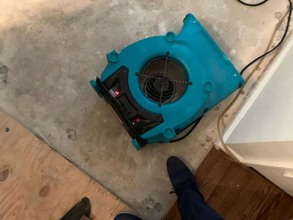 Air mover drying subfloor during Commercial Water Damage Restoration in Dawsonville